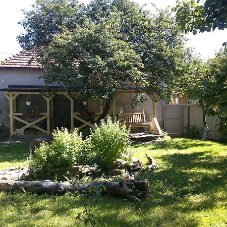 Villa Svalyavа Svaljava Eksteriør bilde