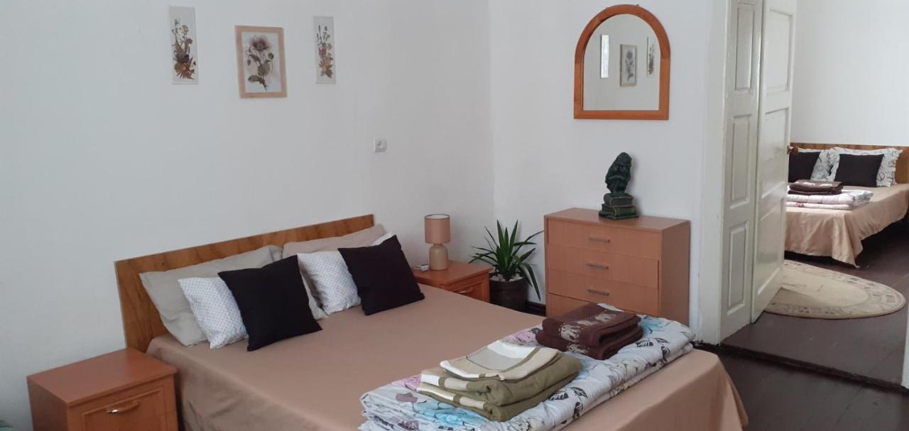 Villa Svalyavа Svaljava Eksteriør bilde
