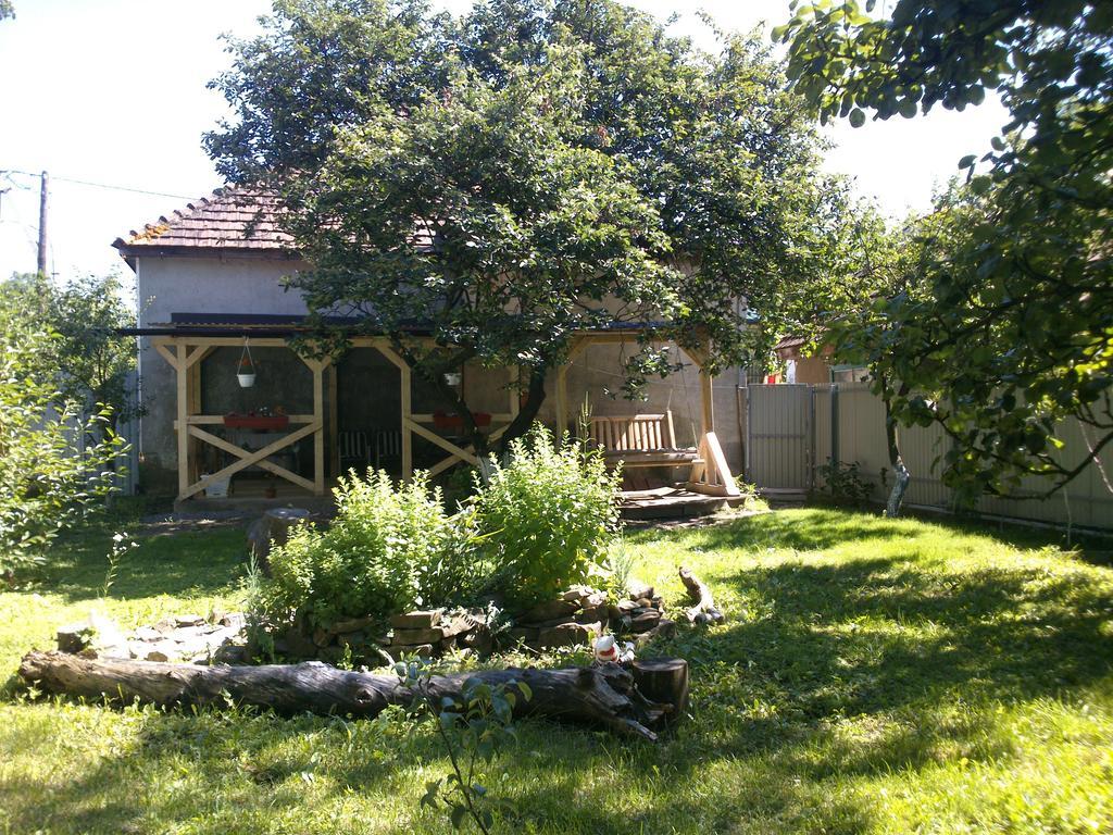 Villa Svalyavа Svaljava Eksteriør bilde
