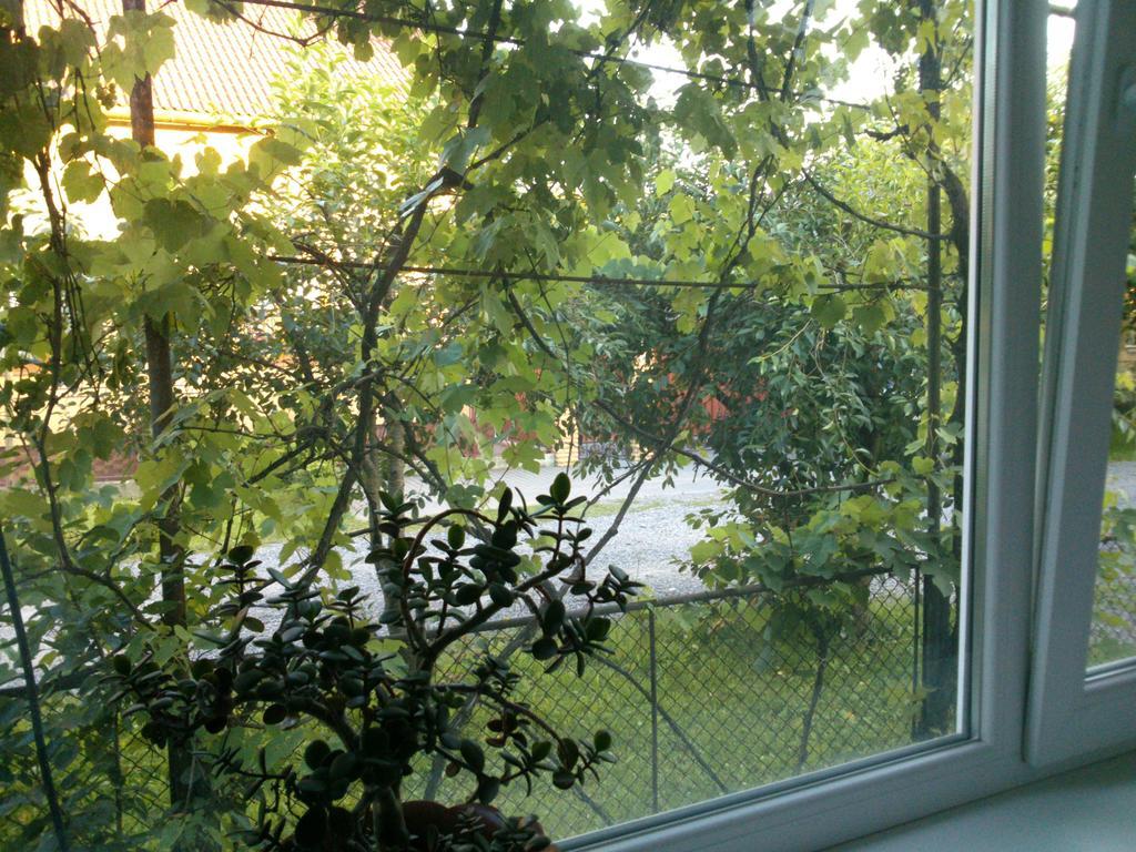 Villa Svalyavа Svaljava Eksteriør bilde