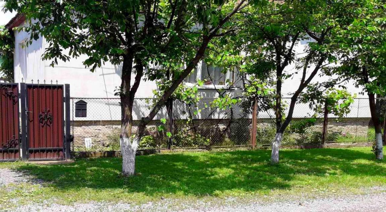 Villa Svalyavа Svaljava Eksteriør bilde